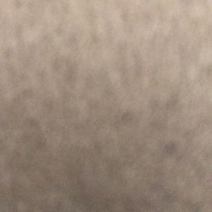 Meet your Posher, Meghan